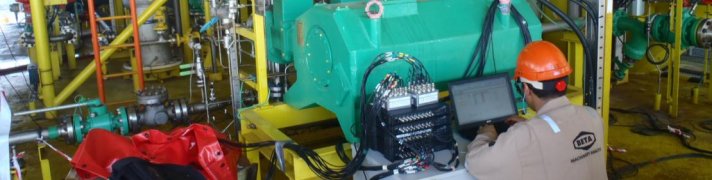 Reciprocating Pump - Pulsation & Mechanical Analysis